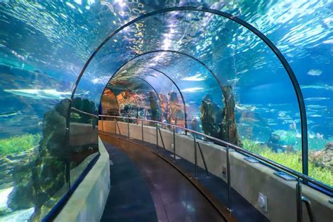 Entrada al Aquarium de Barcelona - Disfruta Barcelona