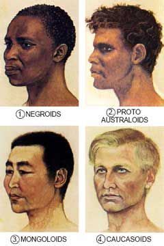 The Australoid race is a broad racial classification. The concept originated with a typological ...