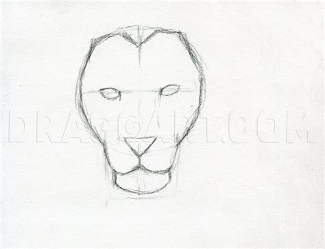 Lion Face Pencil Drawing Step By Step : How To Draw A Lion Face · Art Projects For Kids ...