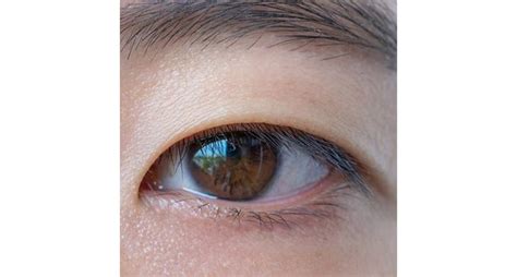 Monolid Eyes: What They Are & How to Show Them Off