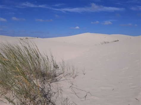 Monahans Sand Dunes: A Texas State Park for the Kid at Heart