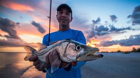 5 Shortcuts For Catching Snook In Florida Like A Pro.