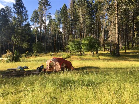 Best dispersed camping near Cloudcroft, New Mexico | The Dyrt