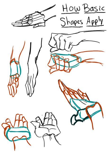 The Animation Student Collective Blog: Hand Drawing Tutorial Notes