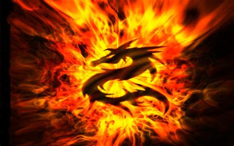 Fire Dragon Wallpapers 3d - Wallpaper Cave