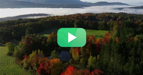 Vermont fall foliage 2023: Photos and video | Vermont Public