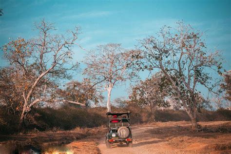 Bandipur National Park ~ ml koottuz