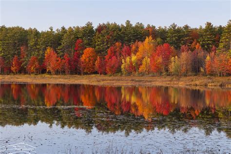 New England Fall Foliage | 2023 Forecast - New England