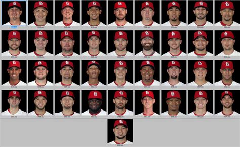 2013 St. Louis Cardinals Roster | St louis cardinals baseball, St louis ...