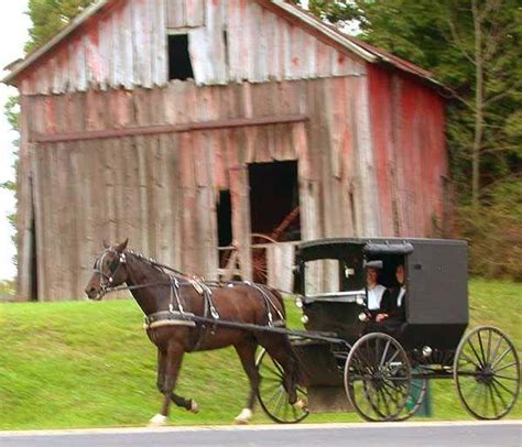 21 Amish Rumspringa Facts and Stories: What Really Happens