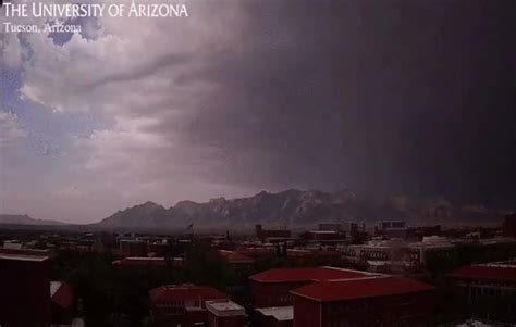 Arizona monsoon 2023 in photos: Dust storms, lightning, flash floods