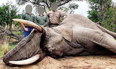 South African President Secretly Profits From Trophy Hunts | PETA