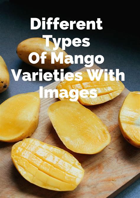 16 Different Types Of Mango Varieties With Images - Asian Recipe