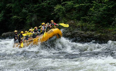 Maine Whitewater rafting-5 Tips for beginners | Rafting, Whitewater rafting, Whitewater