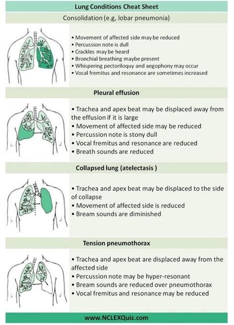 Lung Conditions Cheat Sheet Consolidation (e.g, lobar pneumonia ...