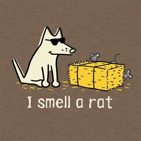 I Smell A Rat - Lightweight Tee | AKC Shop