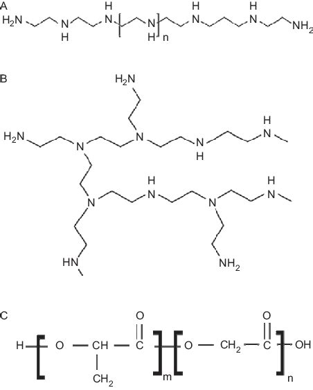 Chemical structure of (A) linear polyethylenimine, (B) branched... | Download Scientific Diagram