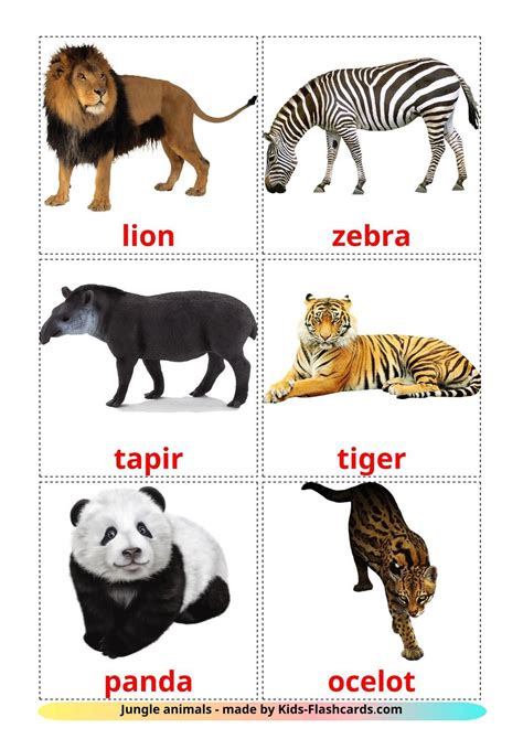 Free Jungle animals Flashcards for Kids on English Language with Real Images Jungle Animals ...