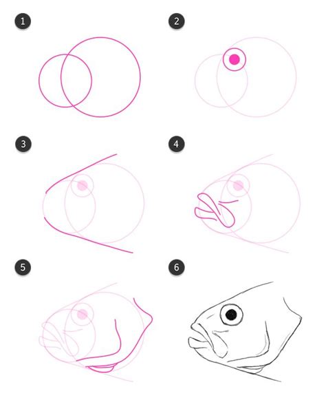 how to draw fish head | Drawn fish, Fish drawings, Animal drawings