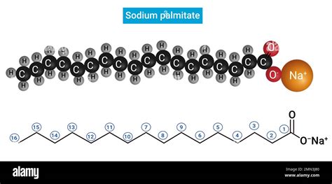 Structure of Sodium palmitate : Salt of palmitic acid (C15H31COOH Stock ...