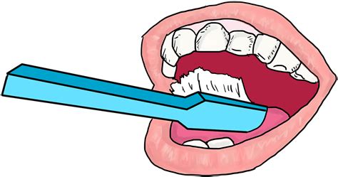 Brushing Cleaning Dental Hygiene - Brush Teeth Transparent Background ...