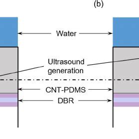 Ultrasound pulse generation mechanism in (a) forward mode and (b)... | Download Scientific Diagram