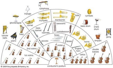 A Beginner’s Guide to Instruments of the Orchestra | Instruments of the orchestra, Clarinet ...