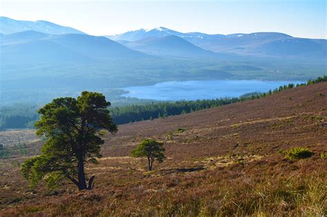 Scottish Highlands Landscape image - Free stock photo - Public Domain photo - CC0 Images