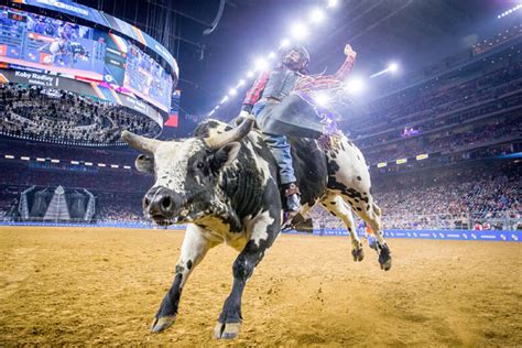 What Days Are the Houston Rodeo this Year 2023? | Houston Ticket Brokers