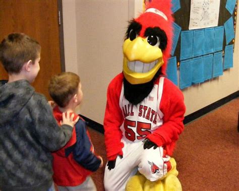 Top 24 Bird Mascots: Names, Colleges, NFL & More!