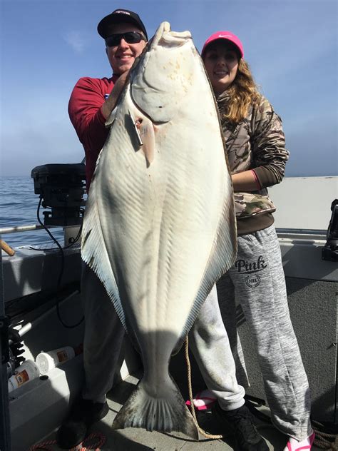 Puget Sound Halibut Opening May 20 With Every-other-day Fishing