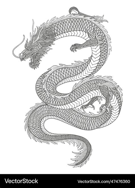 Japanese dragon vintage engraving drawing s Vector Image