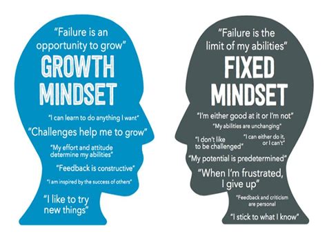 Growth Mindset by Carol Dweck - 67 Golden Rules