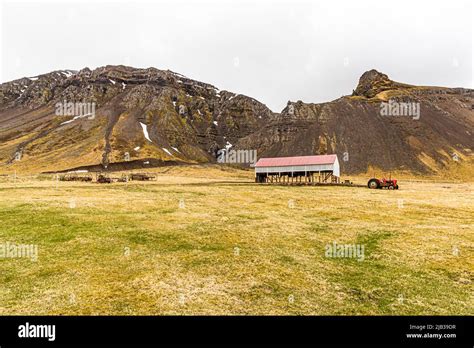 Bjarnarhöfn Iceland Shark Museum, where the mystery of the fermented shark is solved Stock Photo ...