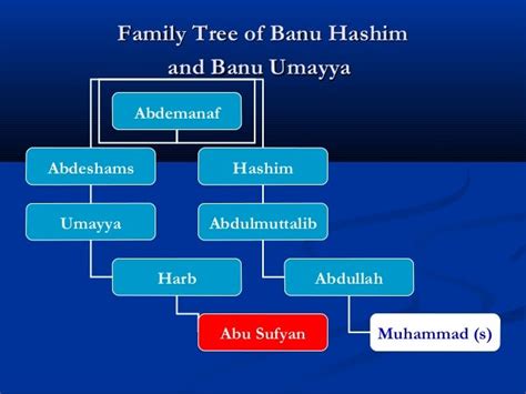 From saqeefa to_karbala