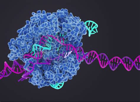 CRISPR/Cas9: Ready for Action - Biosciences Area