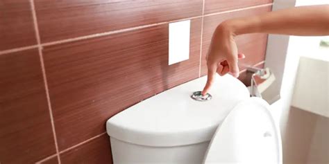 Loud Vibrating Noise When Flushing Toilet [5 Causes & Solutions] - Toilet Reviewer