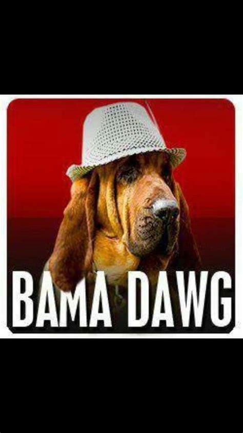 Big Al Alabama Football Saturday | Alabama football, Alabama, Football