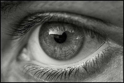 grey eyes photography - Google Търсене | Eye photography, Eyeball art ...