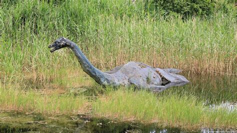 Loch Ness monster search in Scotland: Where is Nessie? – DW – 08/24/2023