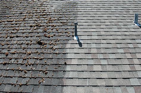 Quality Roof Cleaning Services in the Greater Cincinnati area