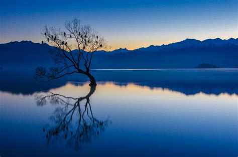 nature, Landscape, Calm, Blue, Water, Trees, Lake, Reflection ...