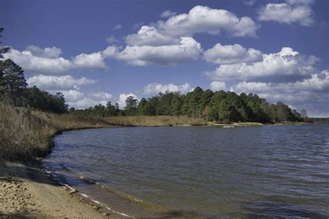 Jamestown Island Loop - The Hoppy Hikers