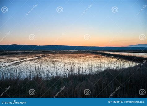 Sunset in the salt pans stock image. Image of grassland - 111331107