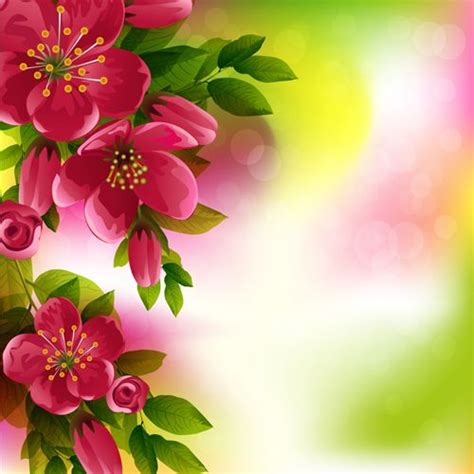 Beautiful red flower vector background 08 - Vector Background, Vector Flower free downloa ...