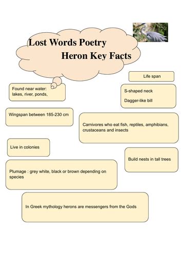 Poetry Lost Words Unit | Teaching Resources