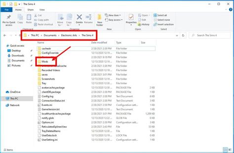 Sims 4 Mods Folder Organization : My suggestion is a thumb drive ...