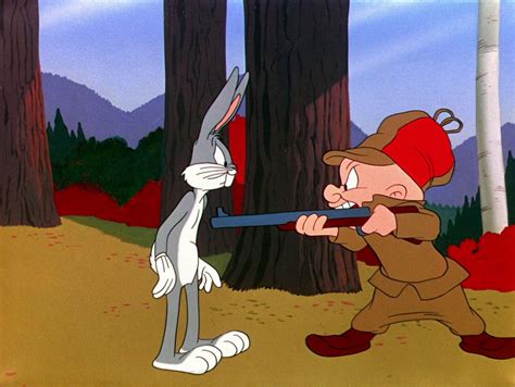 Looney Tunes Pictures: "Rabbit Fire"