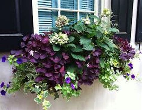 80 Perfect Shade Plants for Windows Boxes - Hoommy.com | Window box ...