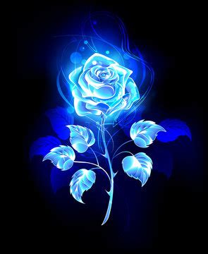 "Blue Rose" Images – Browse 13,370 Stock Photos, Vectors, and Video | Adobe Stock